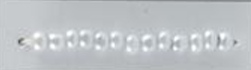 Shell Galvanized Seed Beads Size 11/0 - Black Eye Gray