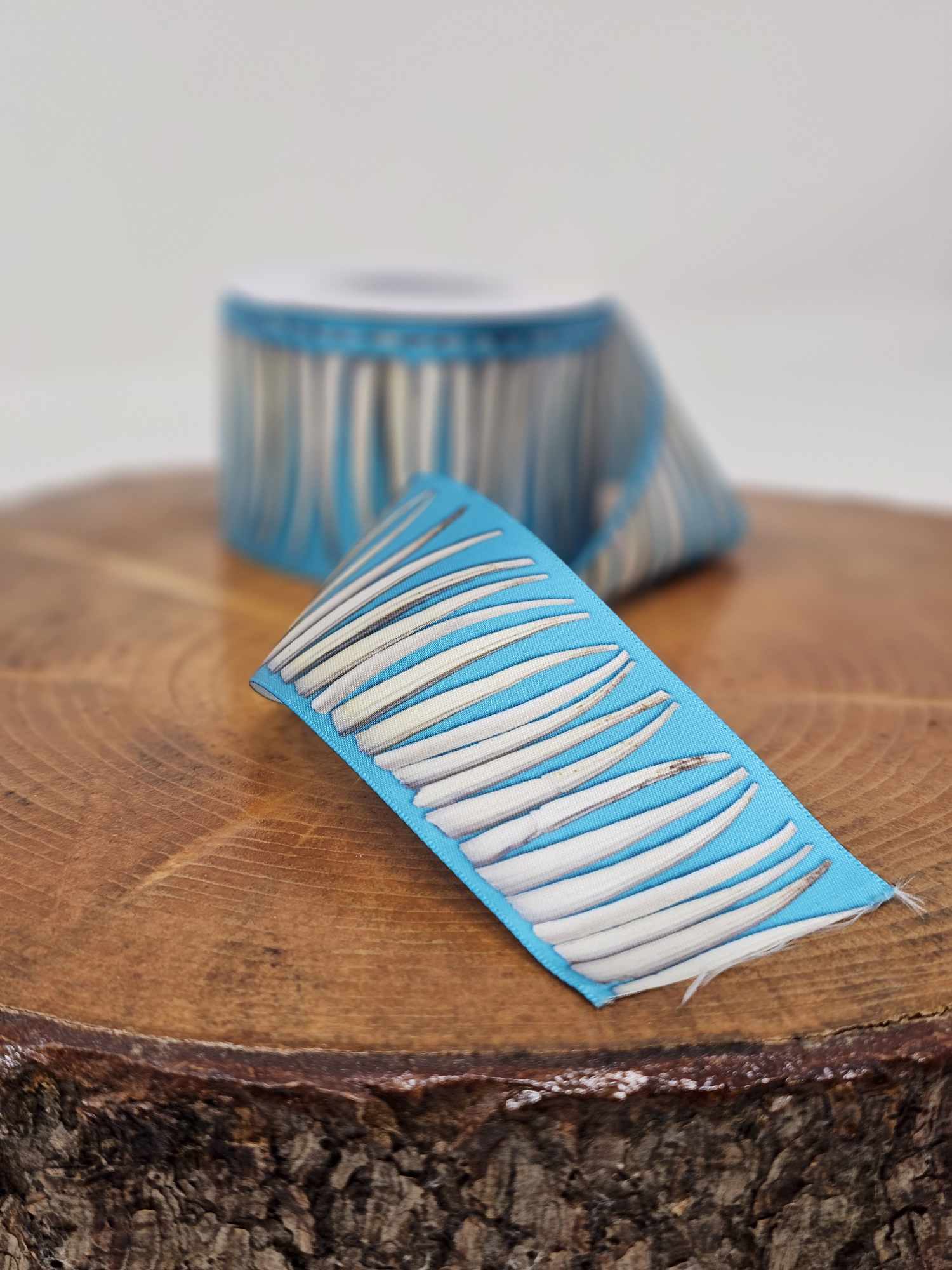 Dentalium Ribbon Teal Printed Ribbon